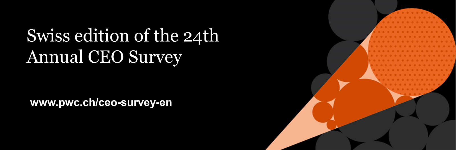 Swiss edition of the «24th Annual CEO Survey»